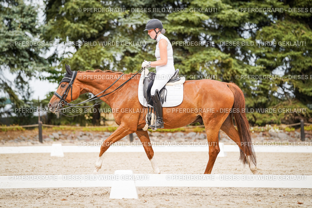 DSC07385 | Pferdegrafie