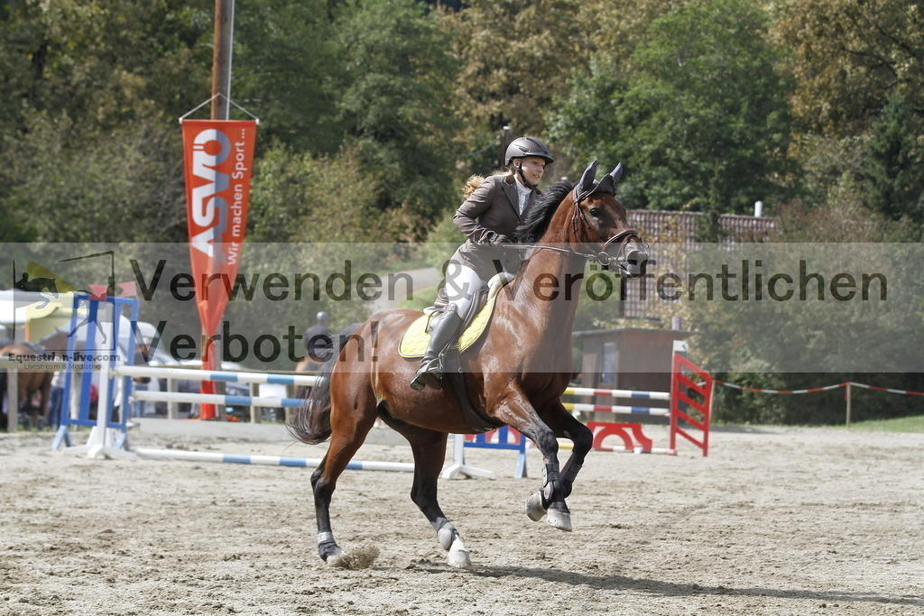 _MG_5881 | equestrian-live-com