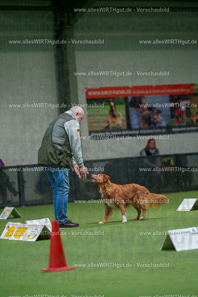 7R504362 | Professionelle Tierfotografie in Mönchengladbach von Daniel Wirth (allesWIRTHgut). Liebevolle & natürliche Bilder von Hunden & Katzen für unvergessliche Erinnerungen.