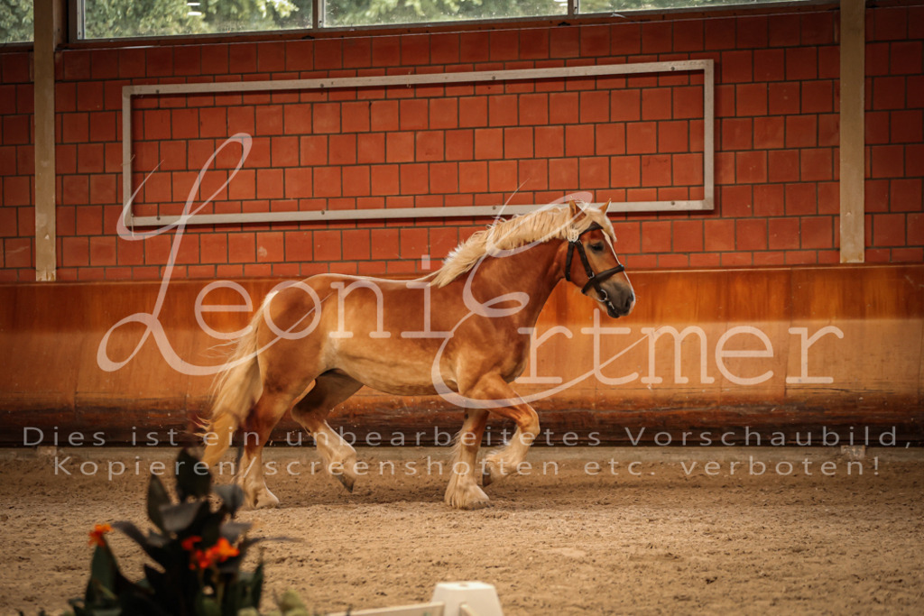 SaFL00248 | Leoni Ertmer Photography - Realisiert mit Pictrs.com