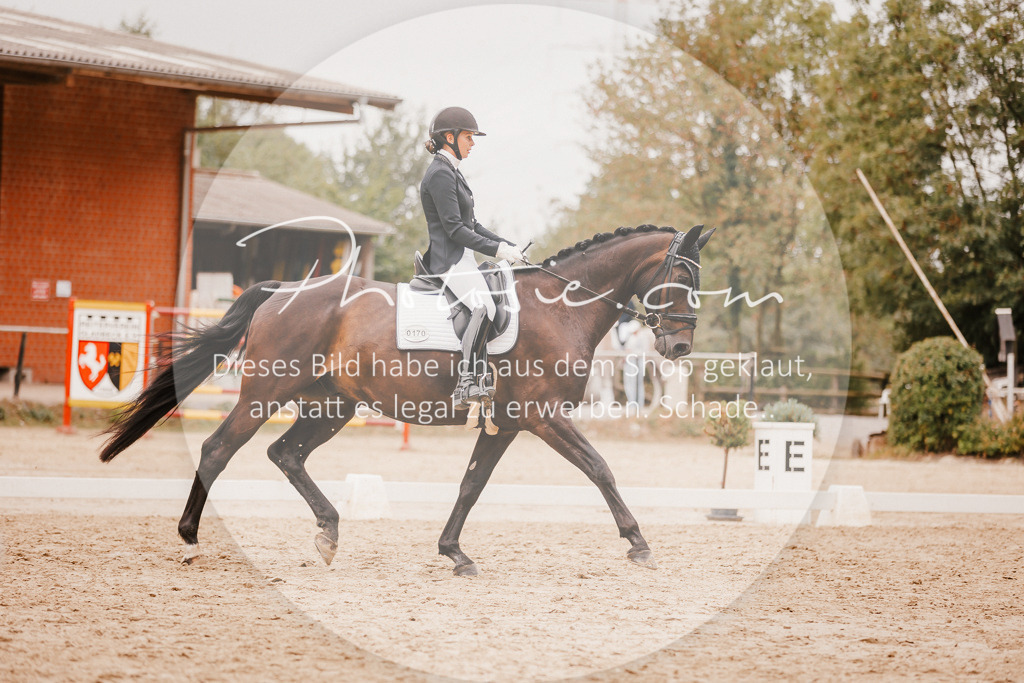 3I6A5840 | Stimmungsvolle Portraits und Reitsportfotografie im Ruhrgebiet und im Münsterland.

Pferdefotografie, Hundefotografie, Tierfotografie, Reportagen, Portraits von Tier und Mensch, Turnierfotografie in Bochum, Recklinghausen, Marl, Haltern am See, Dülmen.. - Realisiert mit Pictrs.com