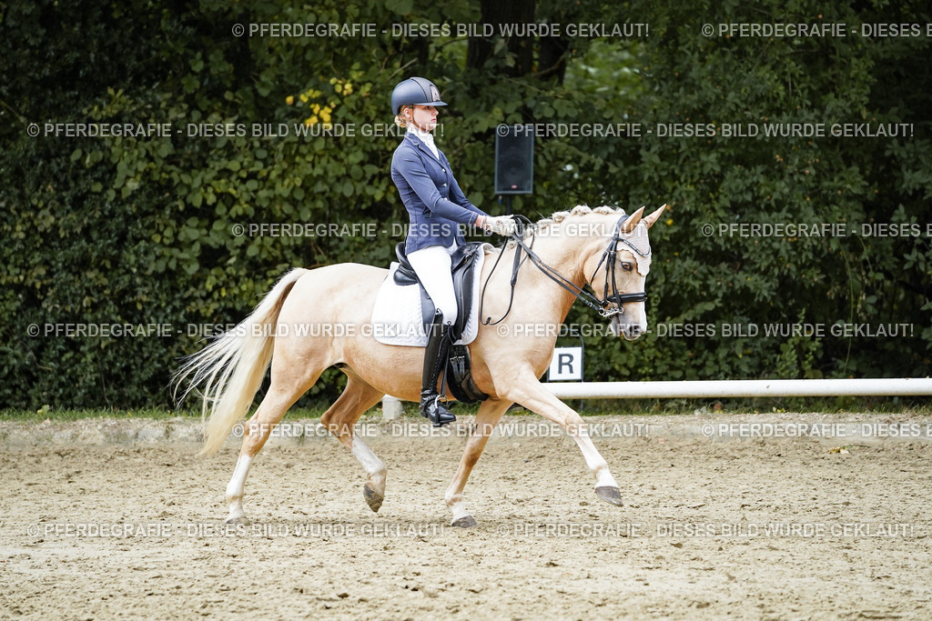 DSC07497 | Pferdegrafie