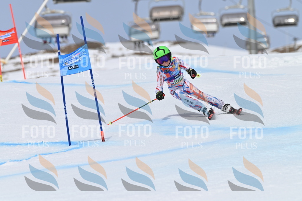 BGV_4748 | holidayphoto