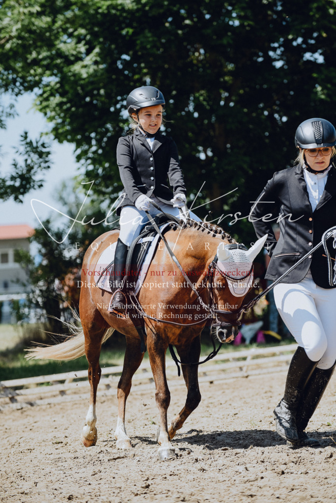 DSC_2548 | Pferde- und Turnierfotografie in Westsachsen. Pferdeportraits, Auftragszeichnungen und intuitive Kunst.