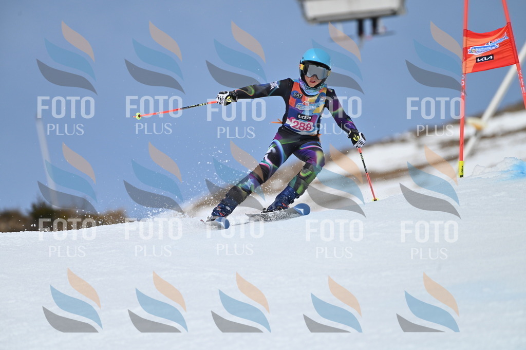 BGV_2562 | holidayphoto