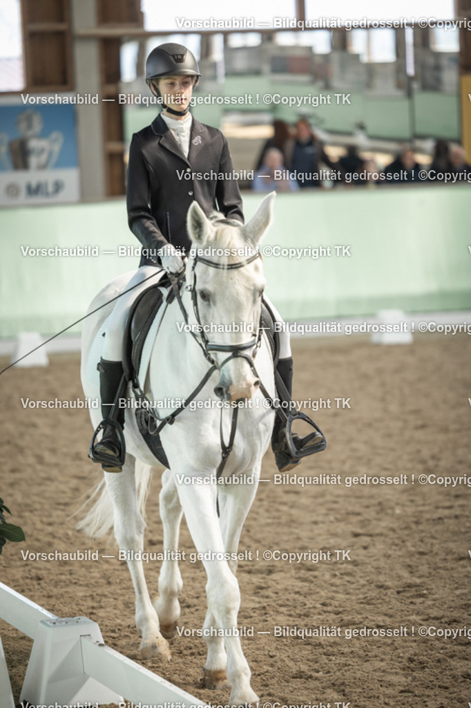 _D5A5728 | Emotionale Pferde- & People-Fotografie rund um Heidelberg, Leimen & Umgebung. Natürliche Fotos von Pferd, Mensch & Familie. Jetzt Termin sichern!