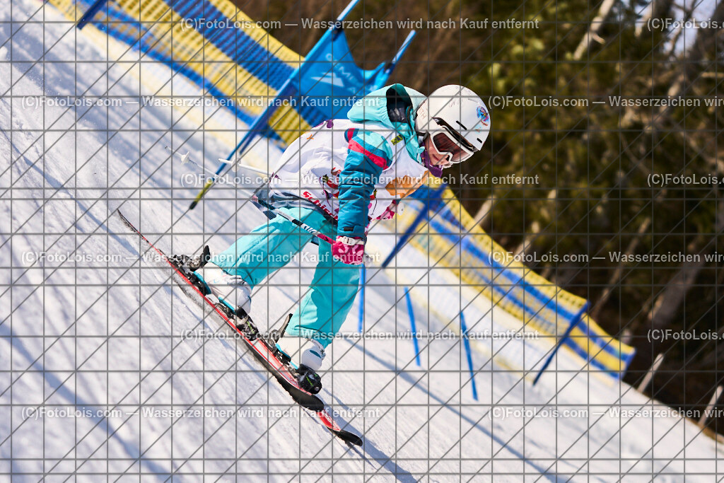 ALP0657_SchiSchule Haginger_Semesterkurs-AbschlussRennen | Hochzeitsfotograf mit dem Blick für´s Wesentliche, Firmung, Erstkommunion, Firmenfeiern, Sportfotoservice, Reproduktionen, Konzertfotografie, Pressefotografie, Luftbildfotografie, Innenarchitektur, Werbefotografie, Sponsoren-Livebildfotografie.