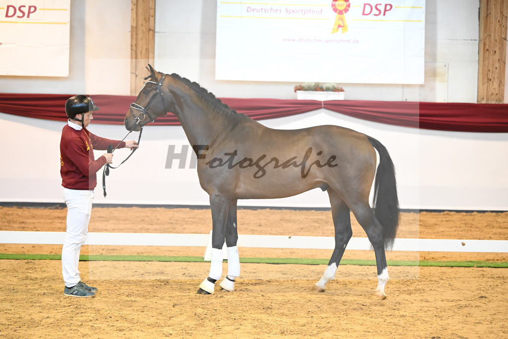 Kat-Nr. 59 v. Zalando_Kuntz_66222208 | hf-fotografie - Realisiert mit Pictrs.com