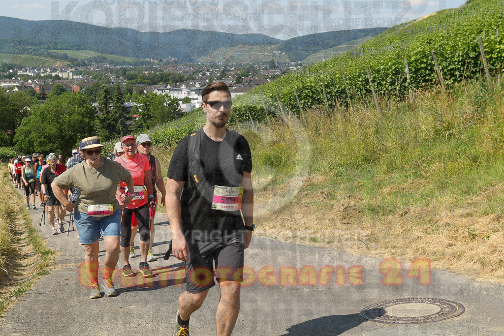 230617_1058_EV9_7501 | Sportfotografie im Rhein-Sieg Kreis, Köln, Bonn, NRW, Rheinland Pfalz, Hessen, etc. Unser Tätigkeitsfeld umfasst den Laufsport vom Volkslauf über den Marathon, Duathlon, Triathon bis zum Ultralauf wie Kölnpfad Ultra oder Schindertrail.