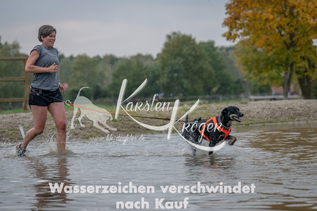 1504_ZZ92996 | kk-dogfotos