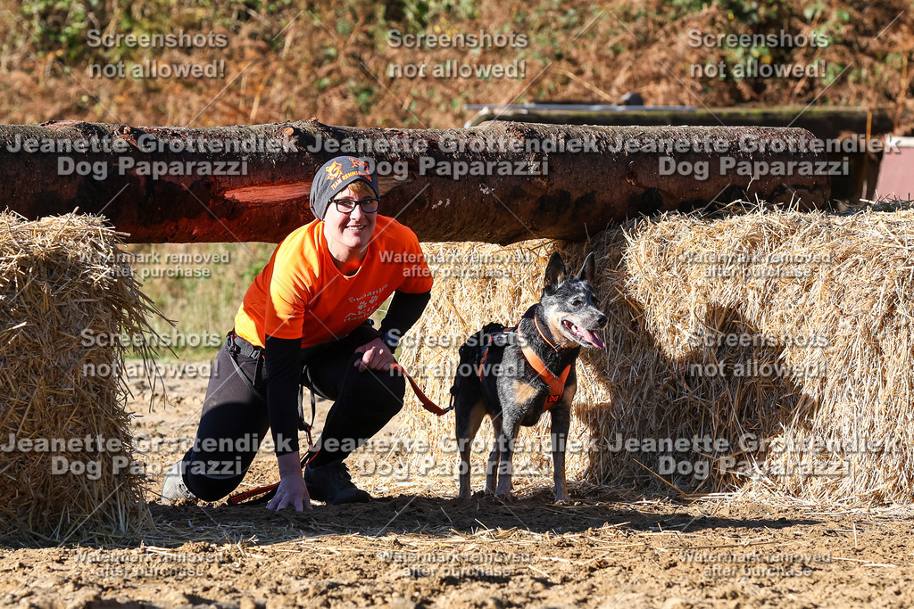 Dog Paparazzi - Strongdog 10-25-1801 | Dog Paparazzi Jeanette Grottendiek Fotografie & Videografie - Realisiert mit Pictrs.com