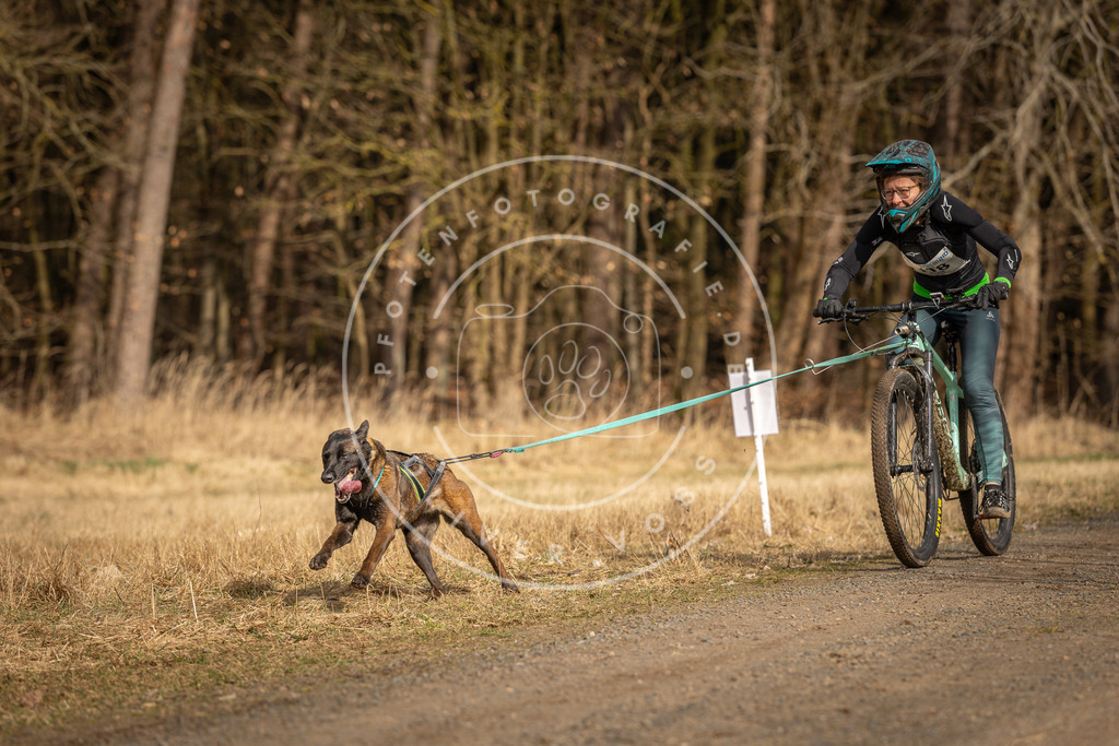 DV3A4500 | Hundefotografie, Tierfotograf, Pfotenfotografie, Fotoshooting Hund, Hunde Portrait, Hundesport, Hundeportraits, Heideshooting, Hunde, Sportfotograf, Hundefotograf, Turnierhundsport, THS,  - Realisiert mit Pictrs.com