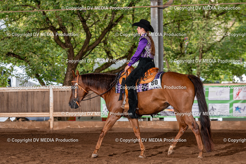 Erbach Tag 2-322 | dv-media-shop - Realisiert mit Pictrs.com