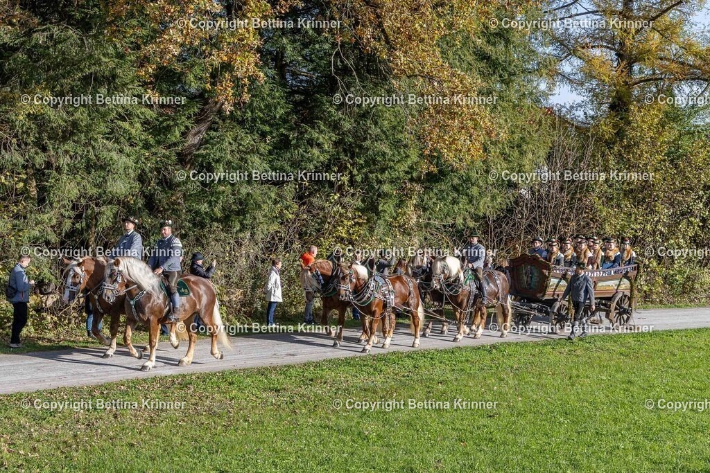 LBT24-487 | foto-bettina-krinner - Realisiert mit Pictrs.com