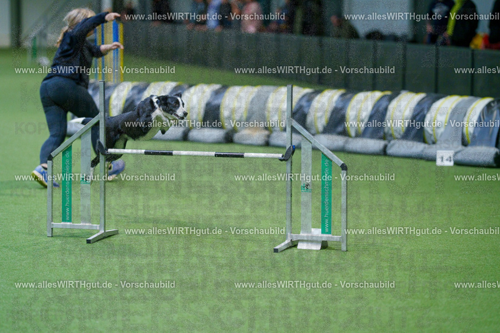 @allesWIRTHgut_Tierfotografie - www.allesWIRTHgut.de - 2604250949-7R509100 | Professionelle Tierfotografie in Mönchengladbach von Daniel Wirth (allesWIRTHgut). Liebevolle & natürliche Bilder von Hunden & Katzen für unvergessliche Erinnerungen.
