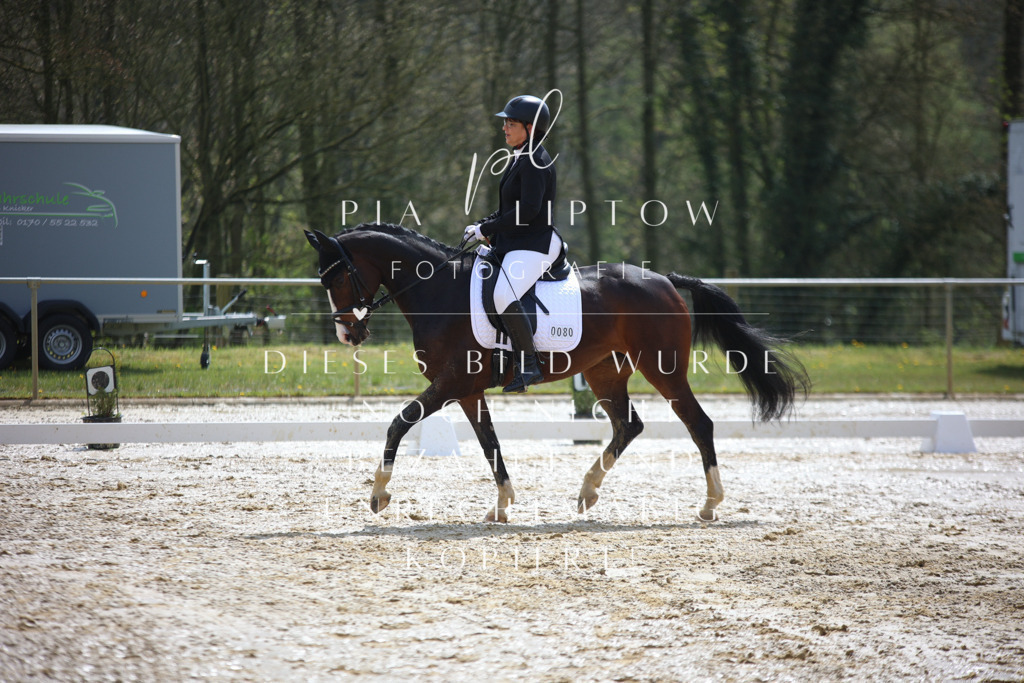 IMGT2412 | pl-fotografie