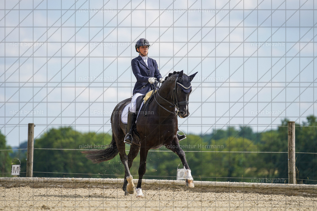 20230826-FAH05822 | Forstinning, 2023, Dressurturnier, Turniersportbilder, Turnierfotografen Bayern, Fotoagentur Herrmann, Reitsportfotografie, Turnierbilder