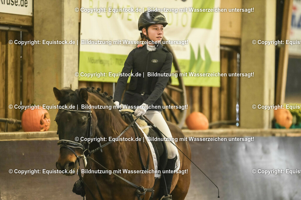 20231029_02_Reiter-WB_Schritt-Trab-Galopp_Abteilung-02_0027 | Foto: Thomas Hartig