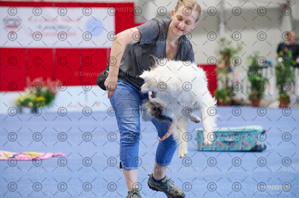 202406_ÖKV-IHA-Tulln24_DSC_4487 | proPHOTO - Realisiert mit Pictrs.com