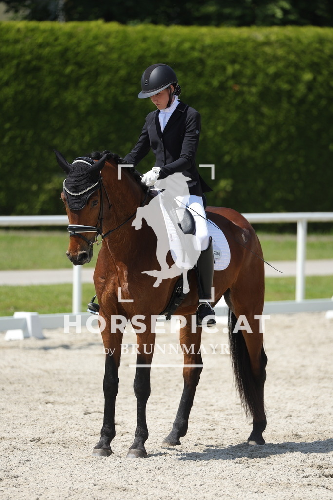 0P6A1219 | Willkommen bei Brunnmayr - Design & Fotografie – Ihrem Spezialisten für Reitturniere und Pferdeveranstaltungen in Oberösterreich, Salzburg und Bayern! Seit über 17 Jahren sind wir leidenschaftlich dabei.