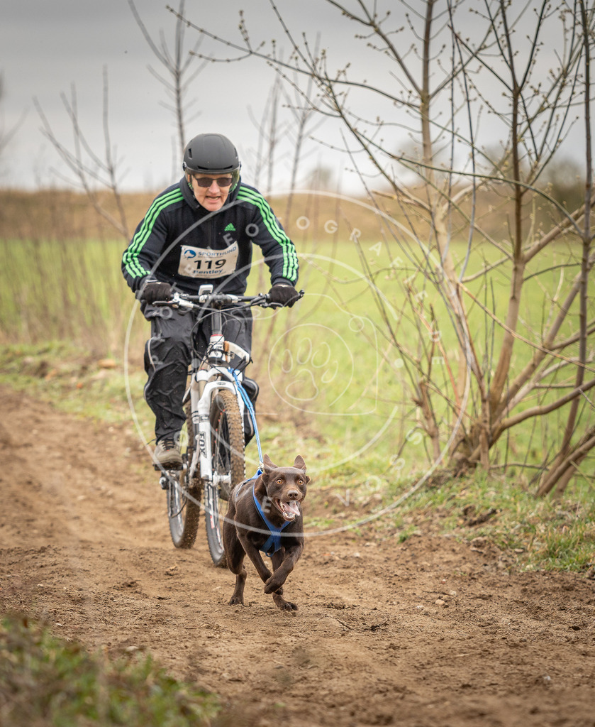 DV3A0891 | Hundefotografie, Tierfotograf, Pfotenfotografie, Fotoshooting Hund, Hunde Portrait, Hundesport, Hundeportraits, Heideshooting, Hunde, Sportfotograf, Hundefotograf, Turnierhundsport, THS,  - Realisiert mit Pictrs.com