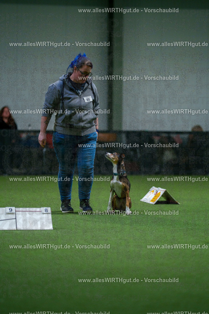 7R503800 | Professionelle Tierfotografie in Mönchengladbach von Daniel Wirth (allesWIRTHgut). Liebevolle & natürliche Bilder von Hunden & Katzen für unvergessliche Erinnerungen.