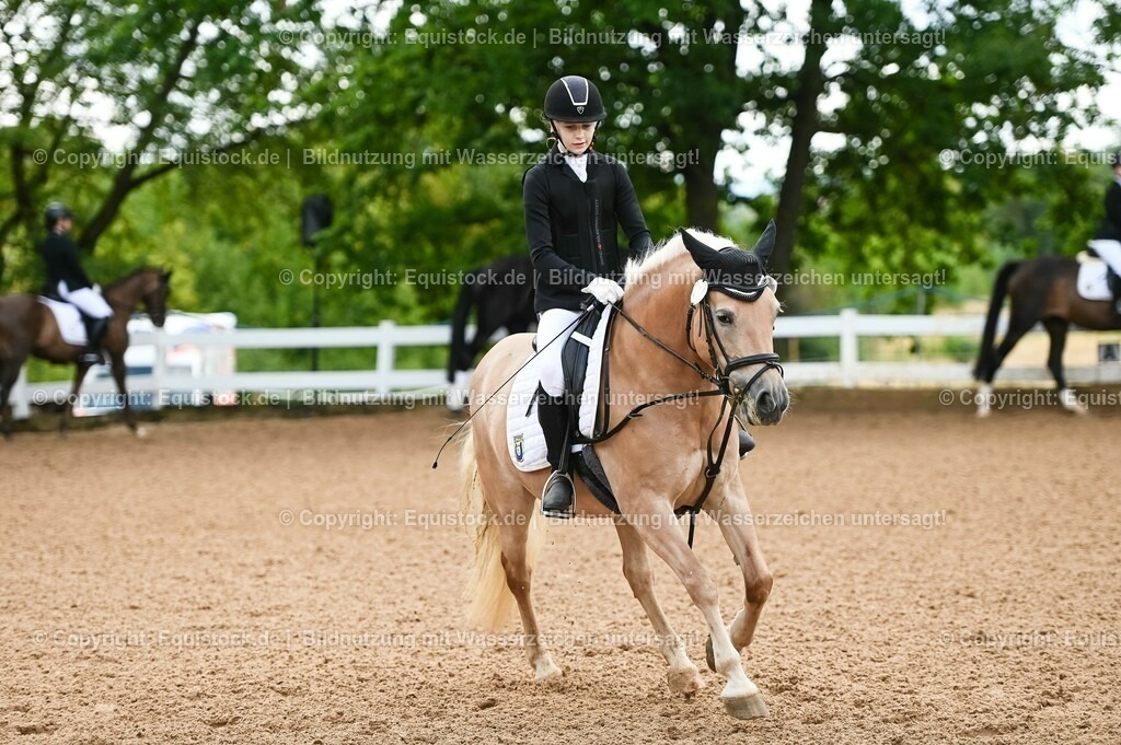 20230716_10-1_Reiter-WB Schritt - Trab - Galopp_0235 | equistock