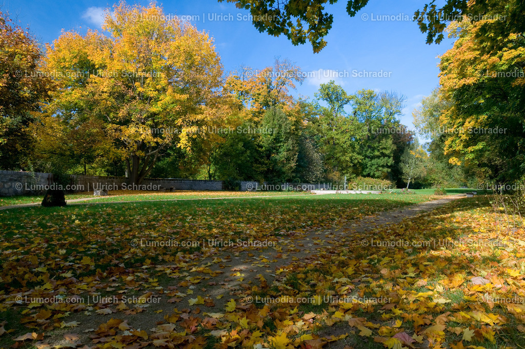 10049-1176 - Brühlpark | Stockfoto und Bilderpool mit Bildmaterial aus Deutschland, dem Harz, Halberstadt, Quedlinburg, Wernigerode und weltweit. Qualitativ hochwertige und professionelle Fotos anschauen und kaufen. - Realisiert mit Pictrs.com