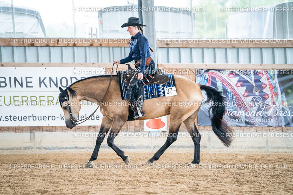 DSC03406 | Pferdegrafie