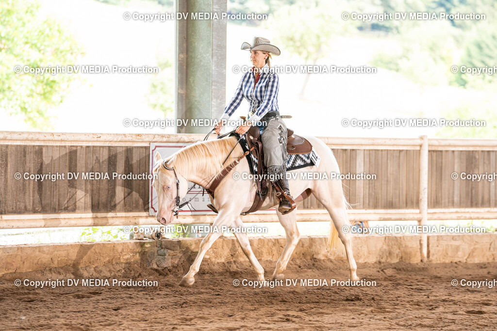 Erbach Tag 1-680 | dv-media-shop - Realisiert mit Pictrs.com