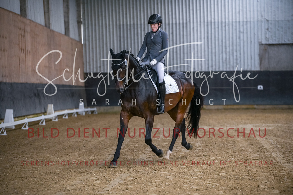 Schugtsche-Aluta25-56.Dressurprf.L1Kand.-13 | Schugtsche Fotografie - Realizzato con Pictrs.com