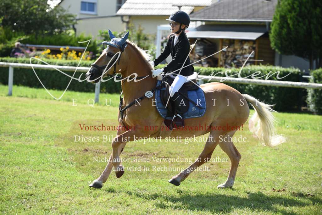 DSC_9047 | Pferde- und Turnierfotografie in Westsachsen. Pferdeportraits, Auftragszeichnungen und intuitive Kunst.