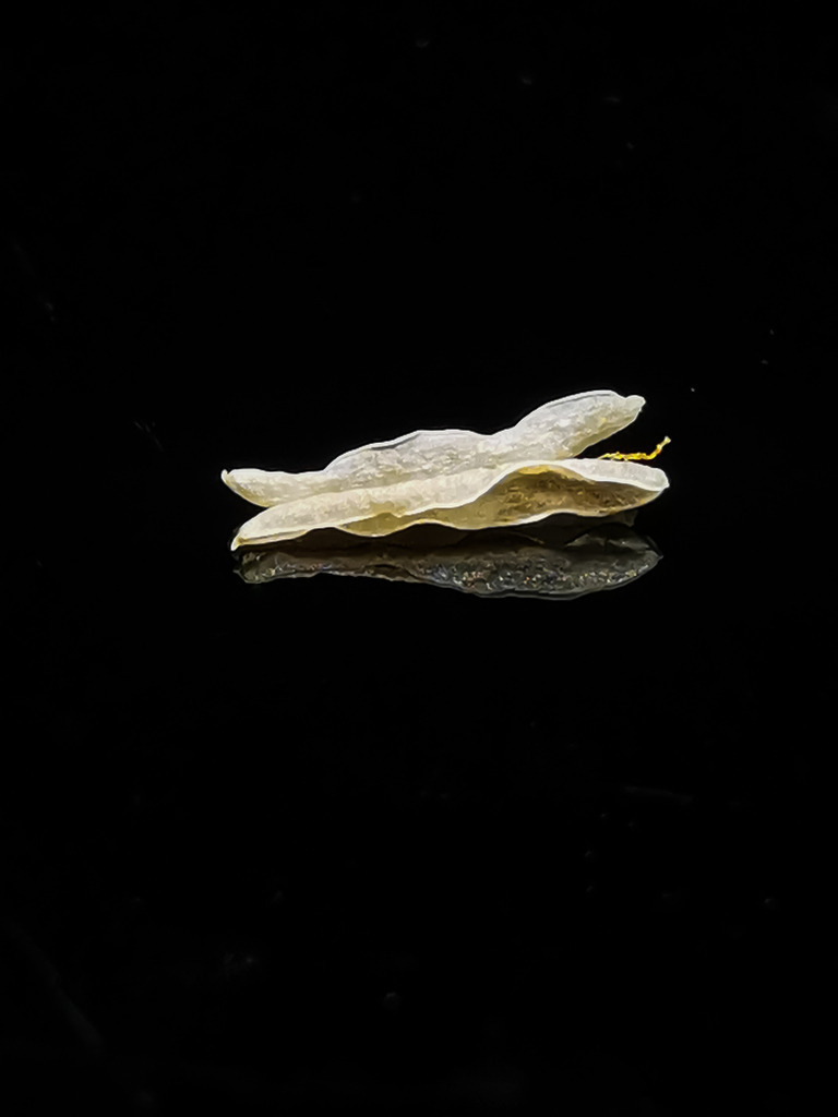 PSX_20230209_224602 | mtkfoto_ - Realisiert mit Pictrs.com