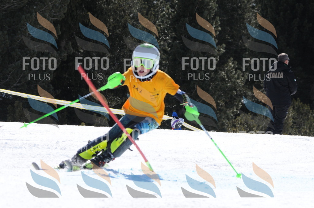 C9335 | holidayphoto