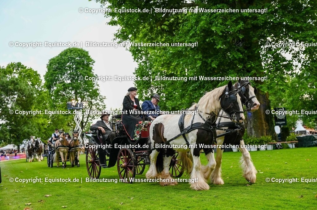 20250606_Lange-Pferdenacht_0191 | Foto: Thomas Hartig