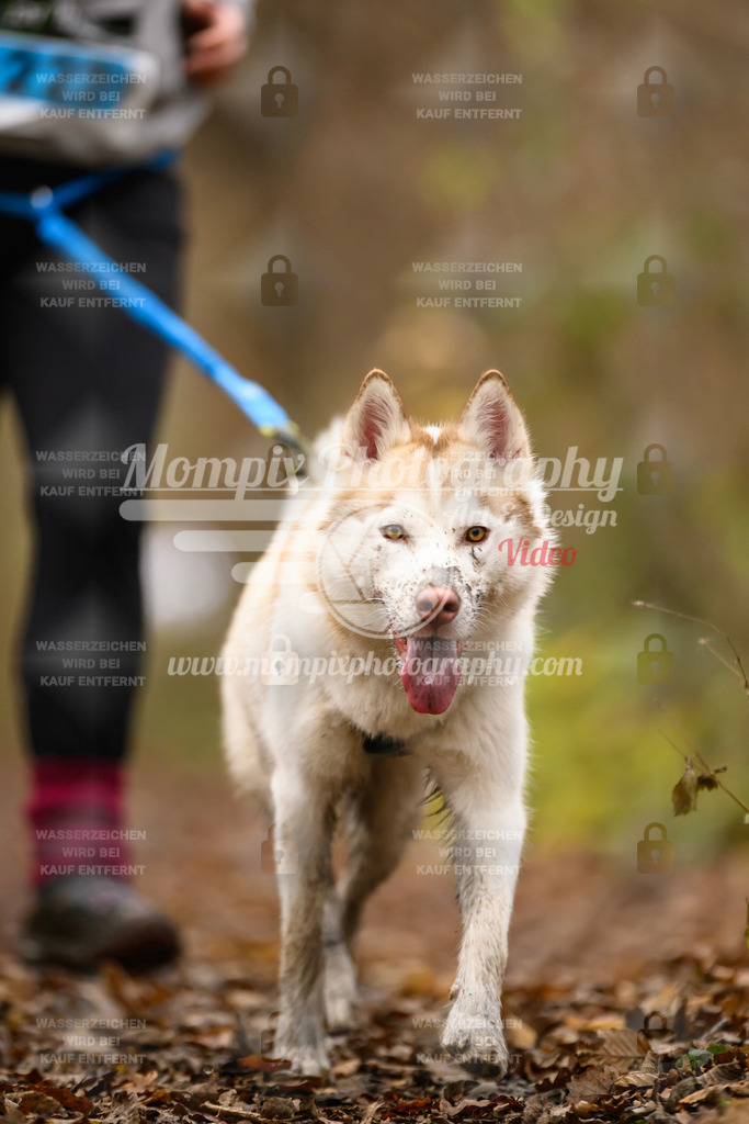 MompixPhotography_Eschau2024_CCC-140 | PayLife