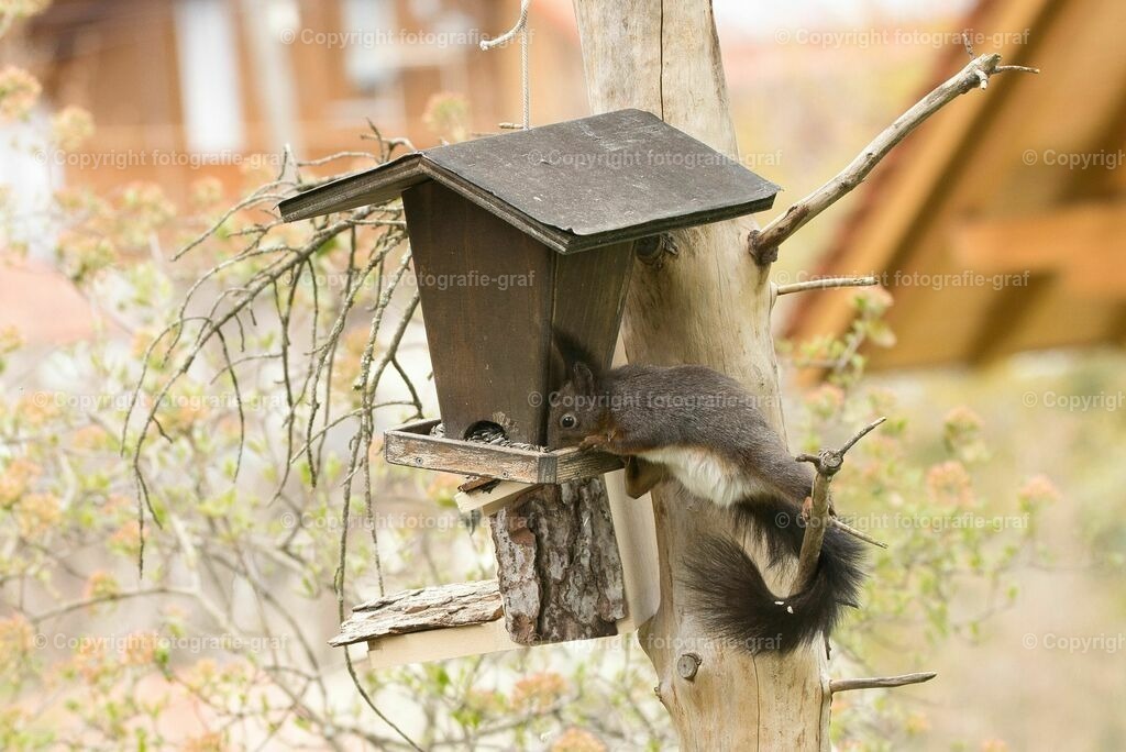 IMG_0599-LU | fotografie-graf - Realisiert mit Pictrs.com