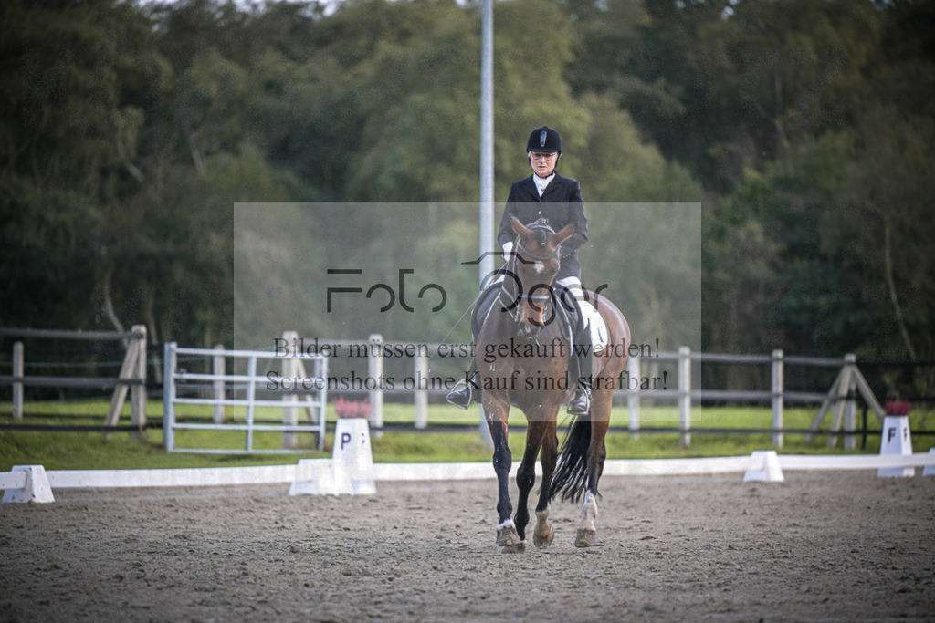 DOS_0541 | Entdecke hochwertige Reitturnierfotos von Foto Oger. Professionell, emotional und authentisch – jetzt Lieblingsmomente im Shop bestellen.Deutschlandweite Turnierfotografie. - Realisiert mit Pictrs.com