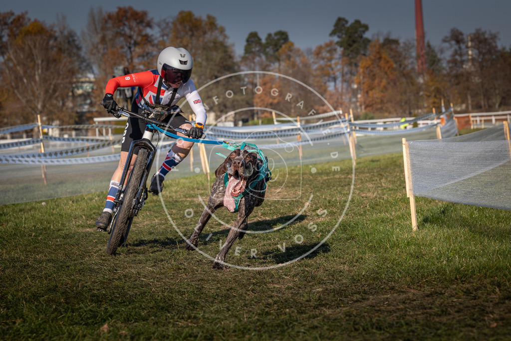 CaniXpix_0L8A6259 | Hundefotografie, Tierfotograf, Pfotenfotografie, Fotoshooting Hund, Hunde Portrait, Hundesport, Hundeportraits, Heideshooting, Hunde, Sportfotograf, Hundefotograf, Turnierhundsport, THS,  - Realisiert mit Pictrs.com