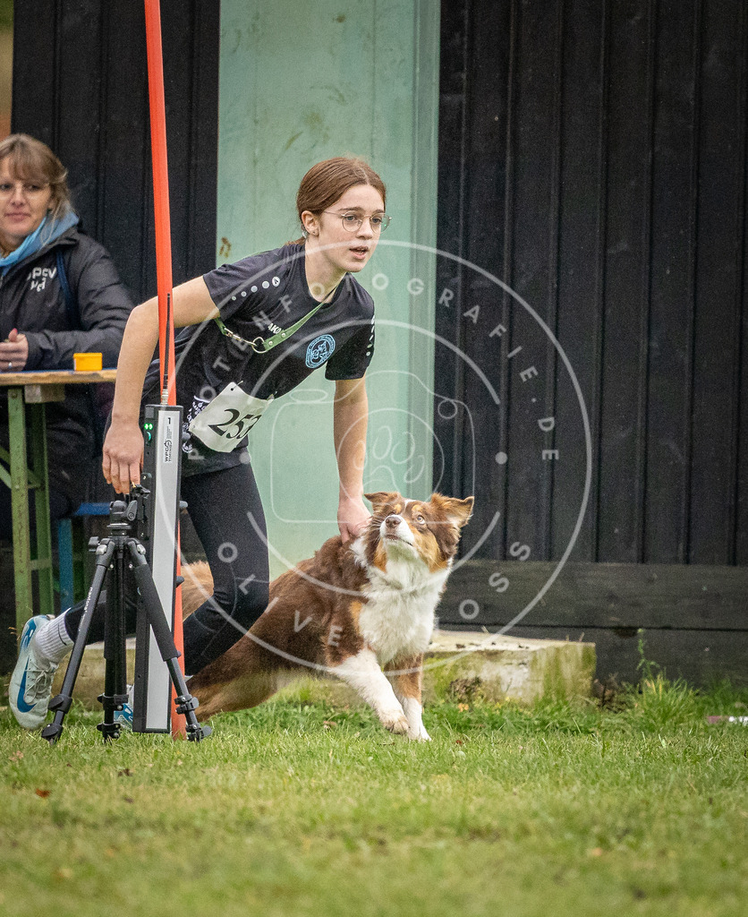 Pfotenfotografie_DV3A0396 | Hundefotografie, Tierfotograf, Pfotenfotografie, Fotoshooting Hund, Hunde Portrait, Hundesport, Hundeportraits, Heideshooting, Hunde, Sportfotograf, Hundefotograf, Turnierhundsport, THS,  - Realisiert mit Pictrs.com