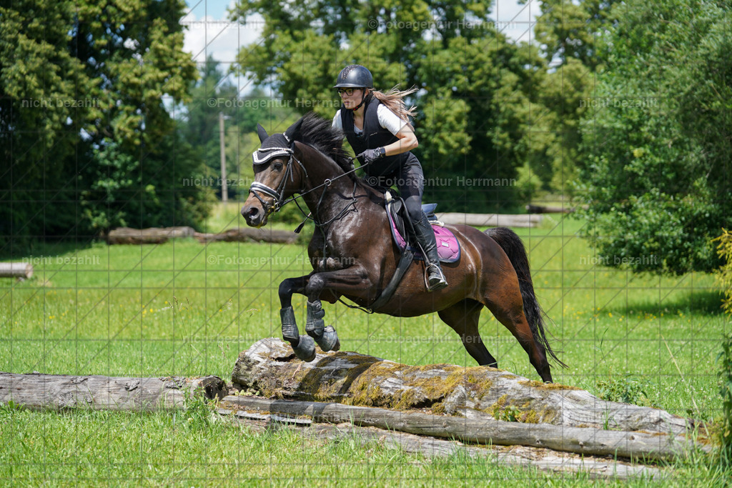20240622-FAH07313 | Turnierfotografen Bayern, Reitsportbilder aus dem Geländekurs mit Felix Etzel auf dem Gut Waitzacker 2024