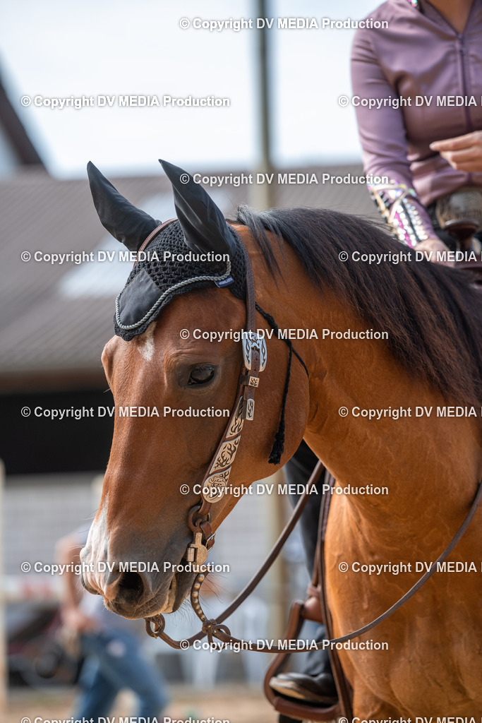 EWP_5718 | dv-media-shop - Realisiert mit Pictrs.com