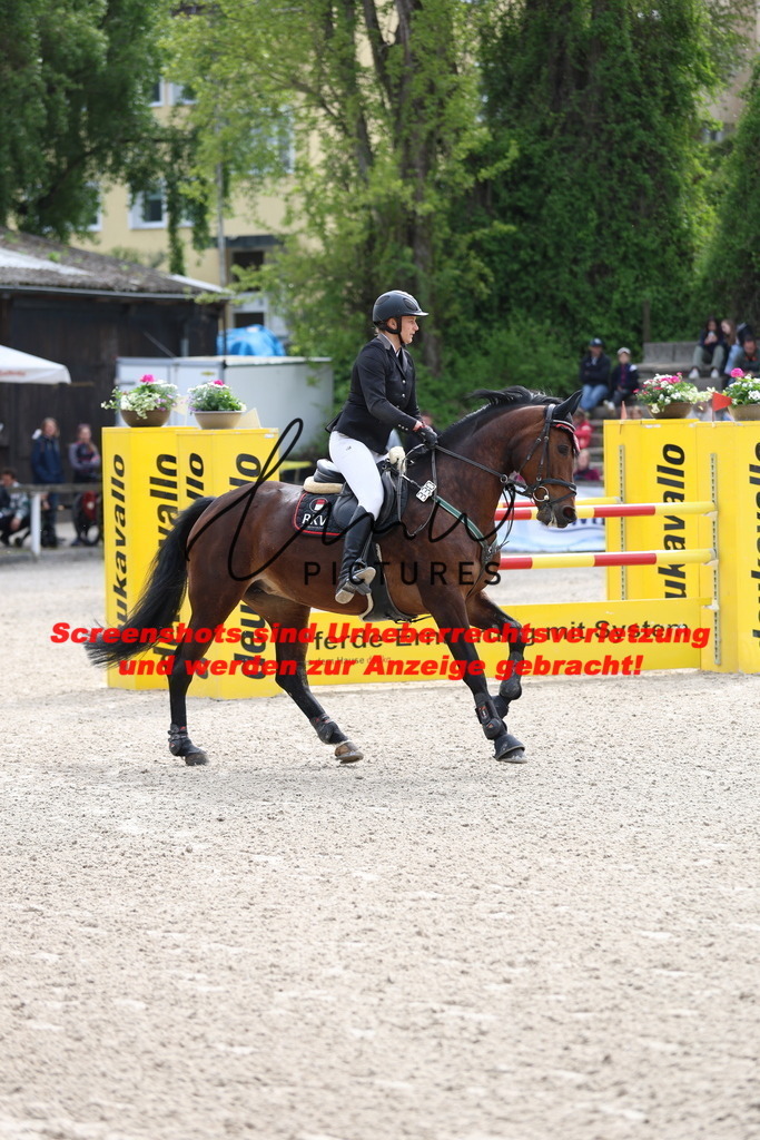 A40A4924 | lmwpictures - Realisiert mit Pictrs.com