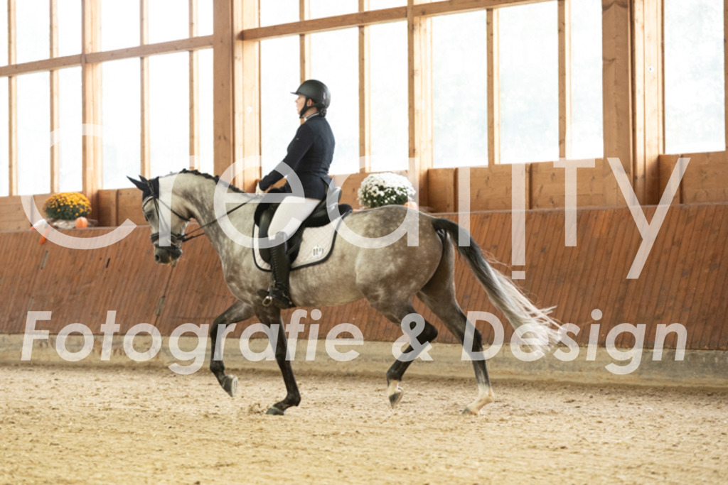 IMG_2399 | Creatify Fotografie