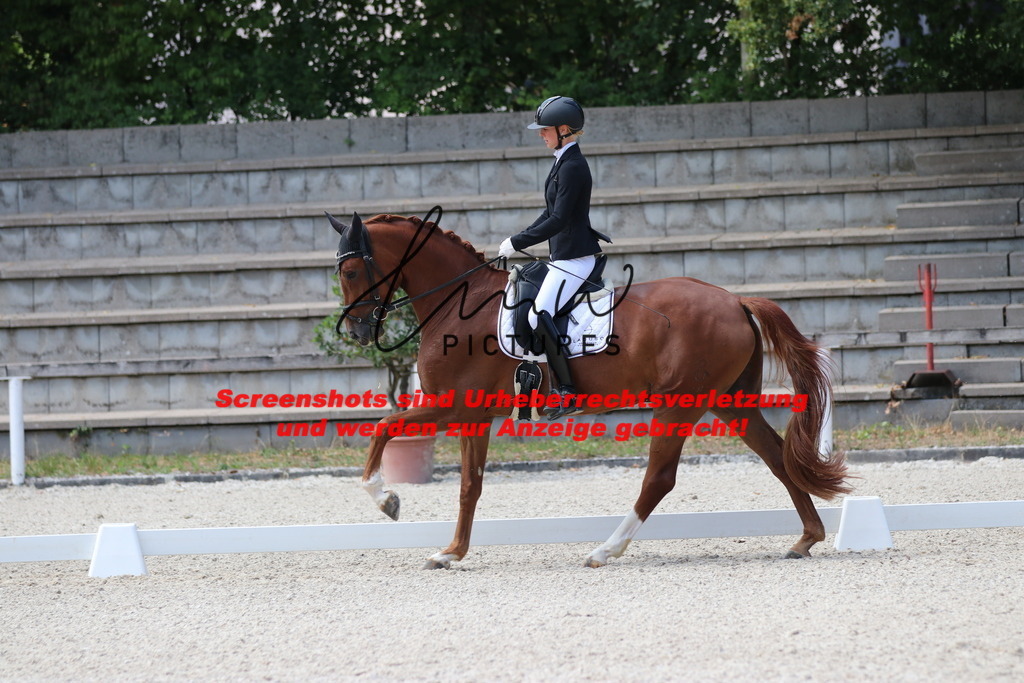 IMG_4525 | lmwpictures - Realisiert mit Pictrs.com