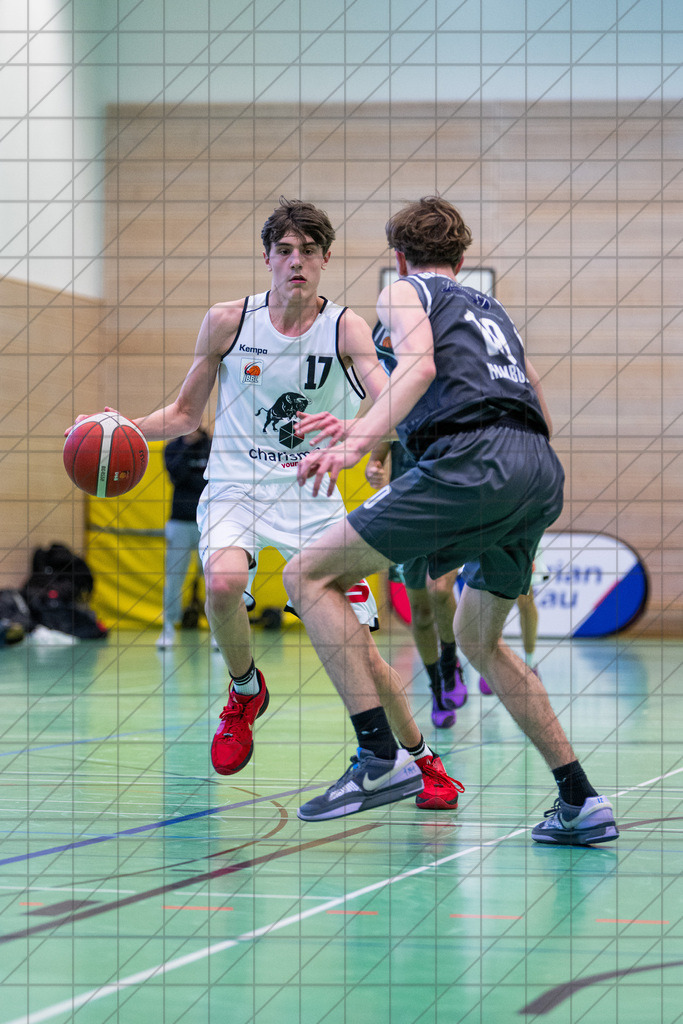 JBBL 24/25 | 02.02.2025 | Charisma Young Bulls vs. Bramfelder SV  | JBBL 24/25 | 02.02.2025 | Charisma Young Bulls vs. Bramfelder SV - - - - - CREDIT, www.bullenfotos.de, Martin König, Hörner Weg 40, D-49078 Osnabrück, +4917663732967, Nutzung und Weitergabe nur zu den vereinbarten Zwecken. Presseanfragen an Urheber. Alle Rechte beim Urheber. - - - - - - Realisiert mit Pictrs.com