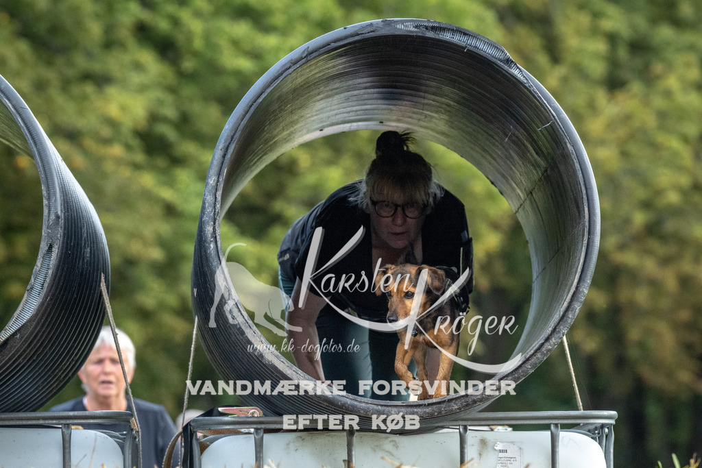 1059_ZZ93462 | kk-dogfotos
