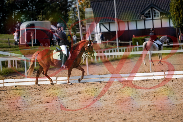2026_10_03_Siefer-Hof_122036_Z63_43486604 | Professionelle Reitsport-, Turnier- und Eventfotografie von Robert Broda. Galerien mit ausgewählten und bearbeiteten Bildern direkt online ansehen und bestellen.