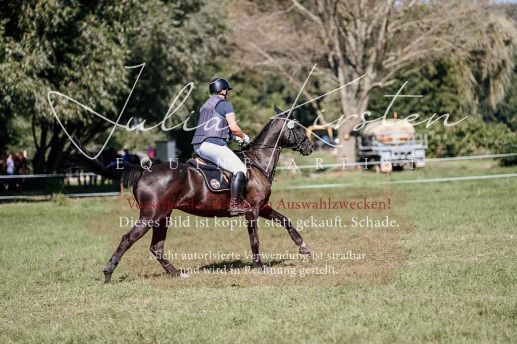 DSC_3331 | Pferde- und Turnierfotografie in Westsachsen. Pferdeportraits, Auftragszeichnungen und intuitive Kunst.