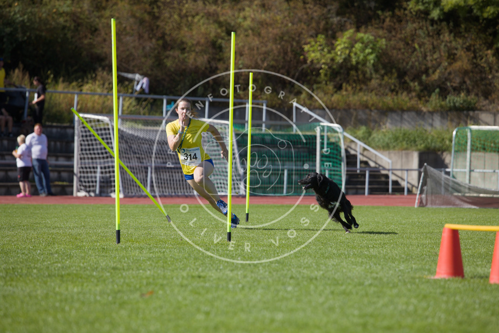 0L8A8024 | Hundefotografie, Tierfotograf, Pfotenfotografie, Fotoshooting Hund, Hunde Portrait, Hundesport, Hundeportraits, Heideshooting, Hunde, Sportfotograf, Hundefotograf, Turnierhundsport, THS,  - Realisiert mit Pictrs.com